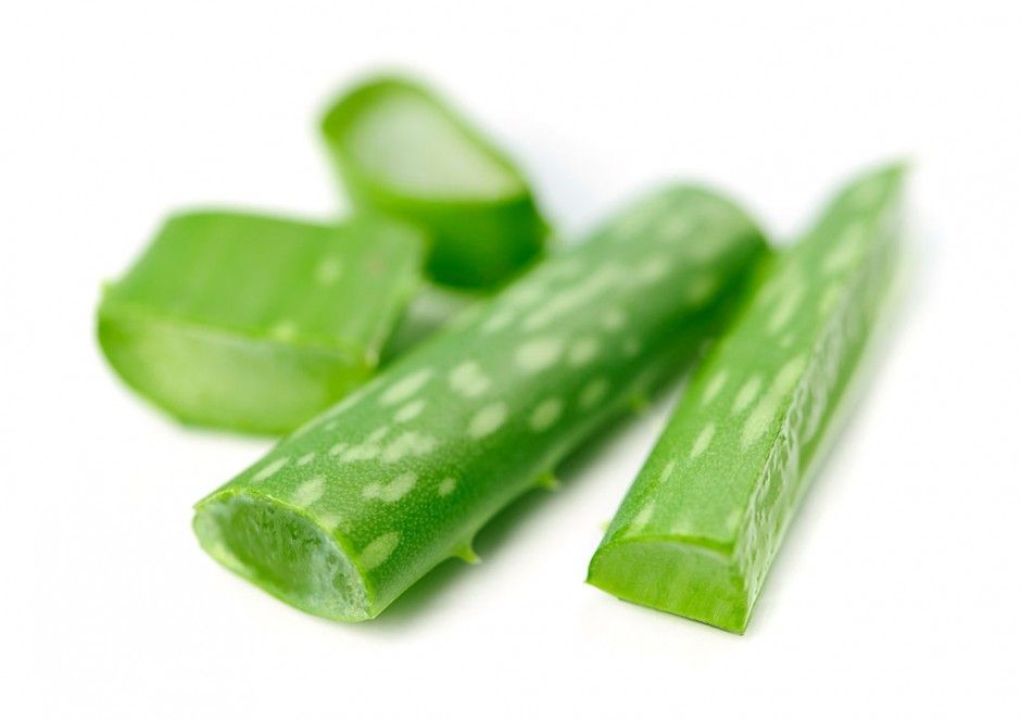 蘆薈如何美容 蘆薈四大美容功效大揭秘
