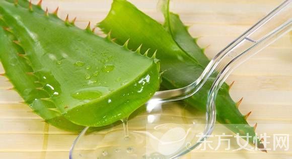 蘆薈膠的功效與作用 這些注意事項一定要了解哦