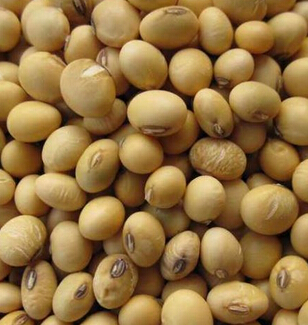 女人吃什么美容 女人專屬的美容護膚食物