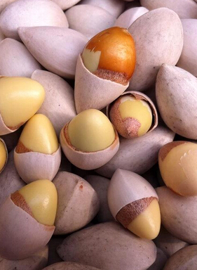 怎樣去痘痘 中醫(yī)教你如何去痘的小竅門