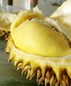 美容護(hù)膚  難吃 食物大盤(pán)點(diǎn)養(yǎng)生功效驚人