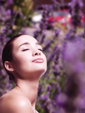 芳香療法《紅樓夢》與香療法