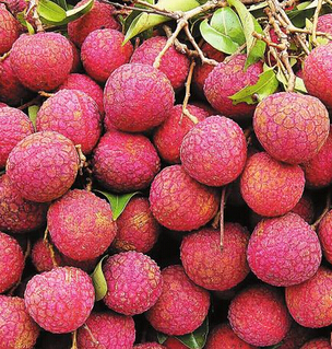 女人吃什么排毒養(yǎng)顏 電腦族美容護膚食物