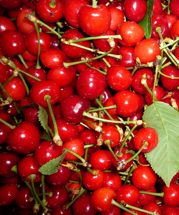 抗皺緊膚 助女人排毒抗皺的8種水果