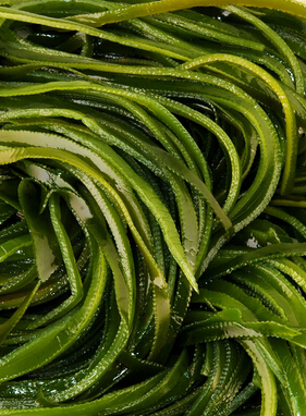 如何抗衰老 抗衰老的美容護(hù)膚方法