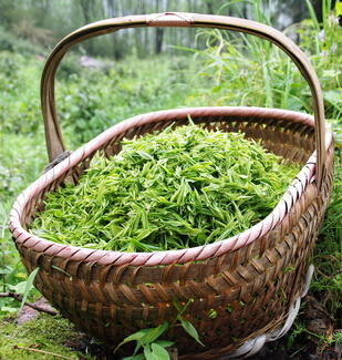 天然護膚 茶葉美容護膚的功效