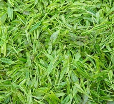 茶葉天然護膚品 用茶葉水洗臉的功效多