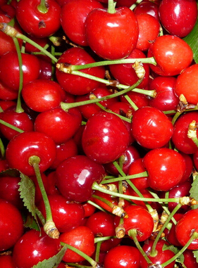 吃什么水果對(duì)皮膚好 春季8種美白護(hù)膚水果