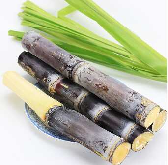 消暑解熱4款食材 清熱潤肺瀉火養(yǎng)心