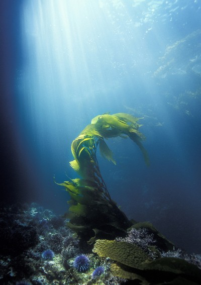 抗衰老最好的方法 輕松對抗衰老