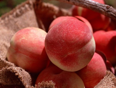 水果的功效與作用 10種食物媲美頂級(jí)護(hù)膚品