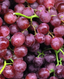 美容養(yǎng)顏 水果養(yǎng)生之冬季美容養(yǎng)顏