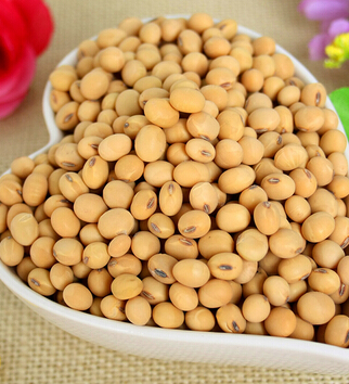 美容養(yǎng)顏的食物 10種最佳美容養(yǎng)顏食物