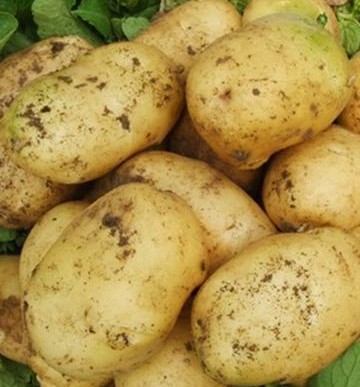 常吃七種蔬菜幫助皮膚自然美白