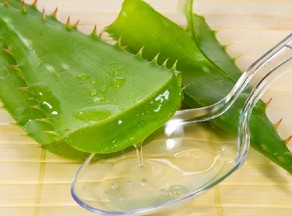 蘆薈膠的功效與作用 天然蘆薈護(hù)膚5大功效