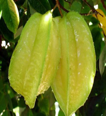 長斑了怎么辦  7種水果讓你恢復(fù)白暫臉蛋