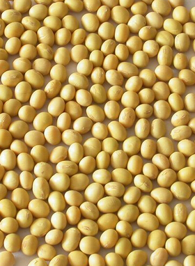 如何美白肌膚 夏季美白肌膚的方法