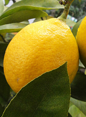 如何美白肌膚 夏季美白肌膚的方法