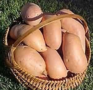 排毒養(yǎng)顏得多吃 排毒 食物