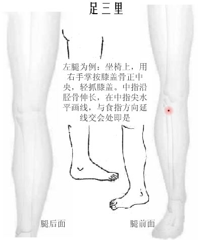 中醫(yī)針刺 五大要穴起保健作用