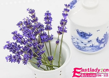 電腦族怎么養(yǎng)顏?zhàn)o(hù)膚 必喝的8種茶