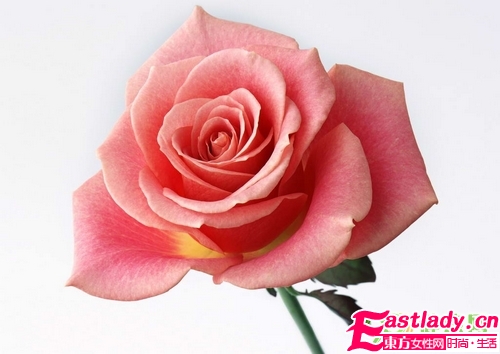 玫瑰花制作3種美容養(yǎng)顏品 吃喝用俱全