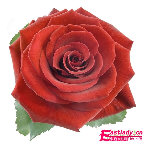 玫瑰花制作3種美容養(yǎng)顏品 吃喝用俱全