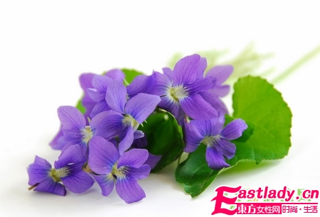 電腦族怎么養(yǎng)顏護膚 必喝的8種茶