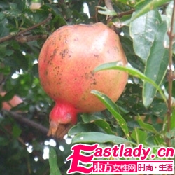 30歲女性抗衰老宜吃啥水果