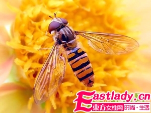 如何用蜂蜜美容護膚