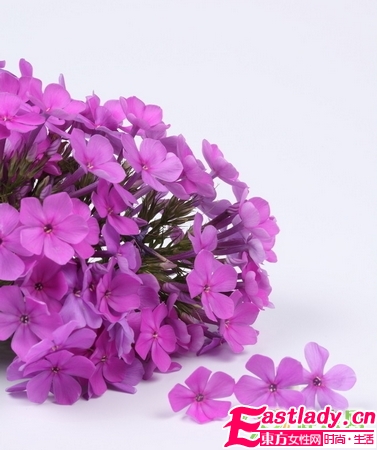 吃什么可以吃出體香 8種食物