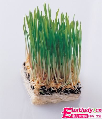 七種食物改變你的圓圓臉