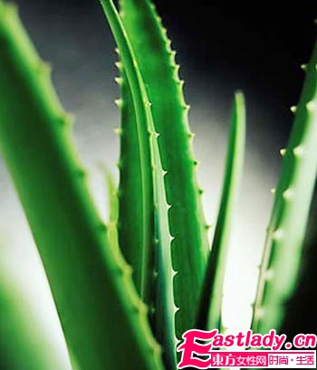 不同發(fā)質(zhì)適合什么洗發(fā)水