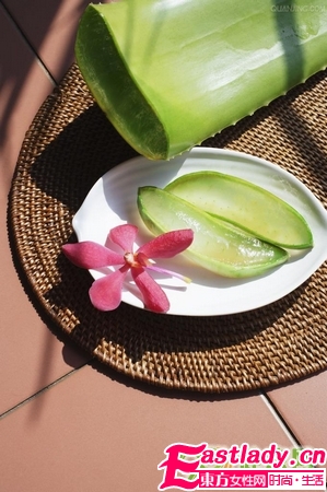 蘆薈美容 美白祛斑祛痘護唇