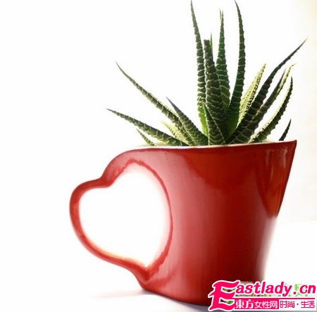 混合性肌膚適合哪種精油