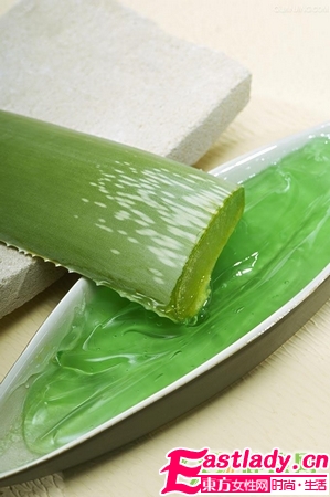 蘆薈美容 美白祛斑祛痘護(hù)唇