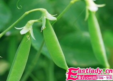 夏季9種蔬菜防曬美白