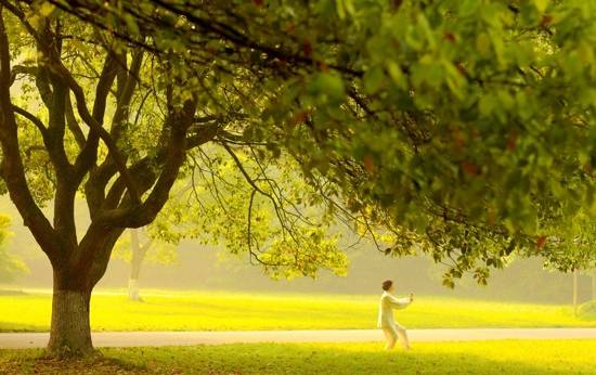 晨練的最佳時間和好處 讓我們離健康更進一步