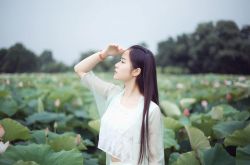 夏季養(yǎng)生之道 七個(gè)最佳助你平安度夏