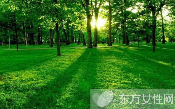 長(zhǎng)期久坐的危害 3個(gè)小動(dòng)作讓你輕松對(duì)抗久坐