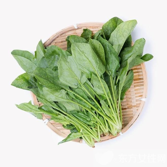菠菜的營(yíng)養(yǎng)價(jià)值 要怎么挑選新鮮的菠菜