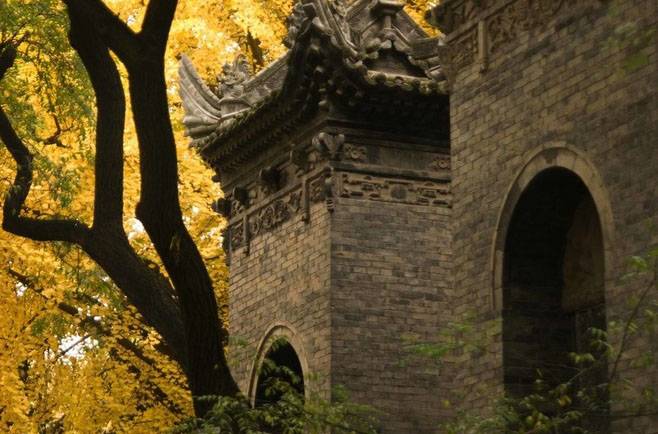 春季養(yǎng)肝食譜 多吃這些讓你健康一整年