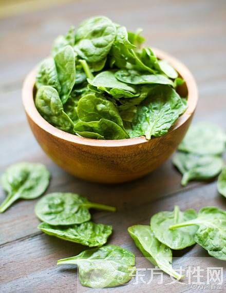 菠菜的營(yíng)養(yǎng)價(jià)值 要怎么挑選新鮮的菠菜