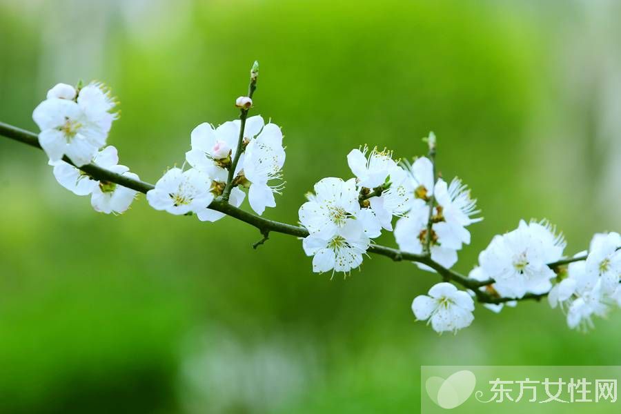 春困怎么辦 學(xué)會(huì)這些小妙招完勝春困