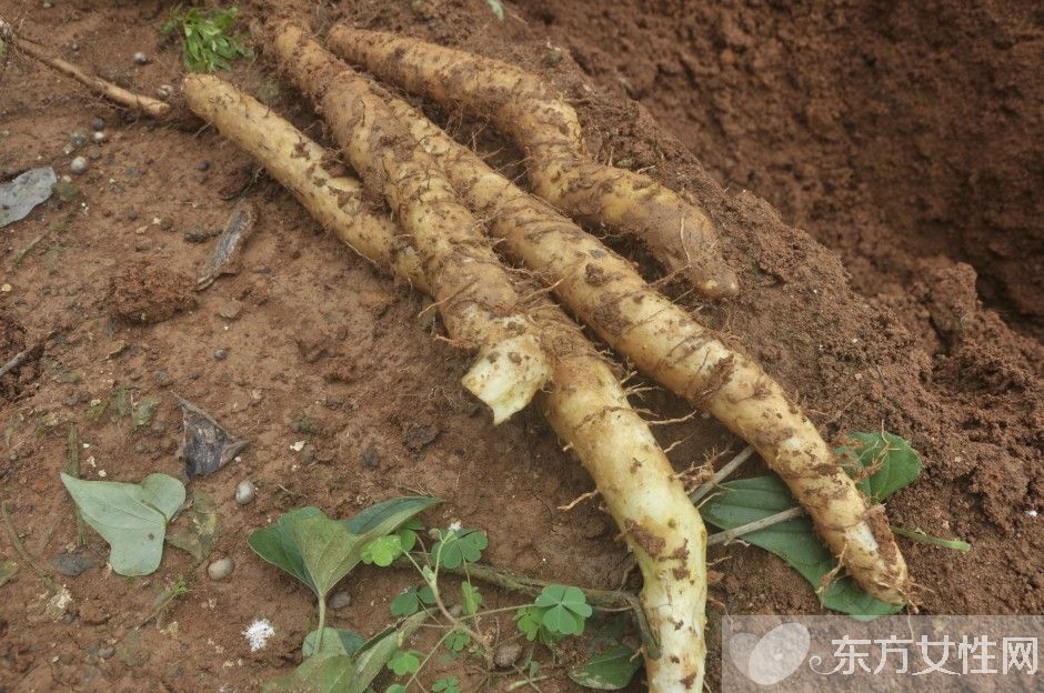 肝囊腫是怎么回事 肝囊腫的生活保健