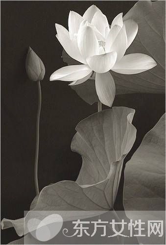 類風(fēng)濕和風(fēng)濕有什么區(qū)別 治療的方式是不是截然不同的