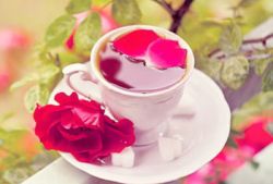 花茶的種類竟然有這么多種 該怎么選購呢