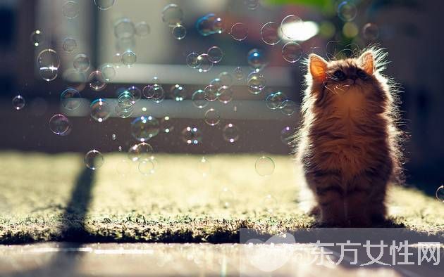 經(jīng)常熬夜吃什么好 什么食物才能緩解眼疲勞