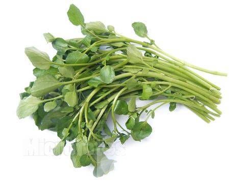 西洋菜的禁忌有哪些 它都有哪些功效與作用