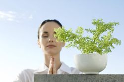 中醫(yī)五臟養(yǎng)生法則 要注意遵循四季盛衰